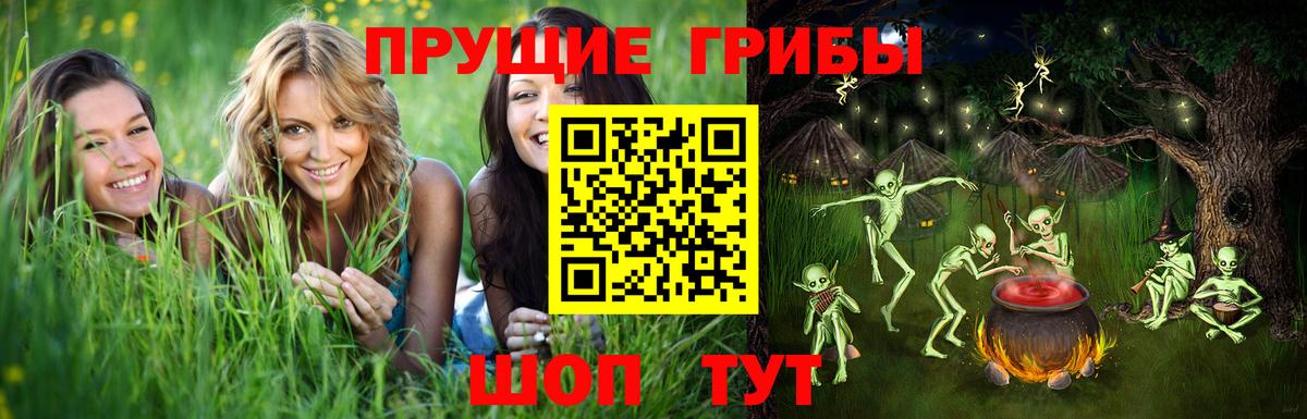 Псилоцибиновые грибы прущие грибы Аксай